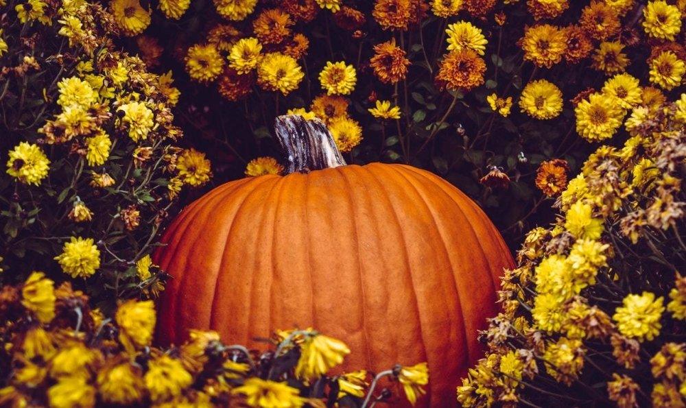 8 heerlijke herfstgroenten