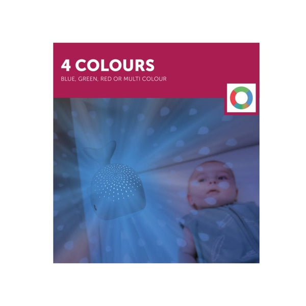 Zazu projector Wally de Walvis