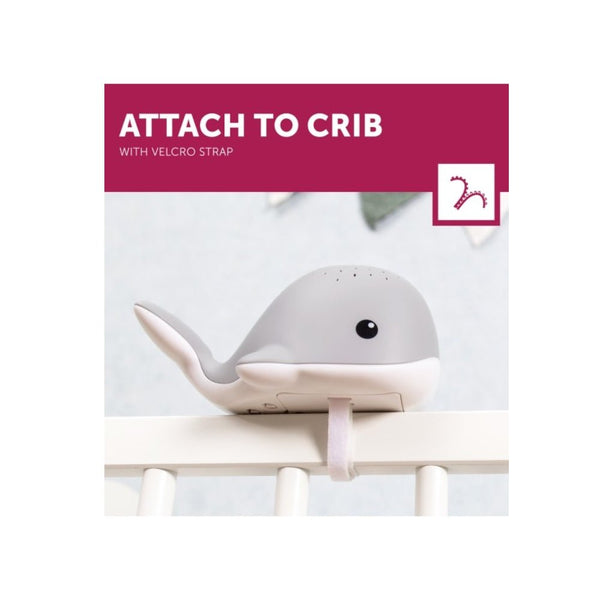 Zazu projector Wally de Walvis