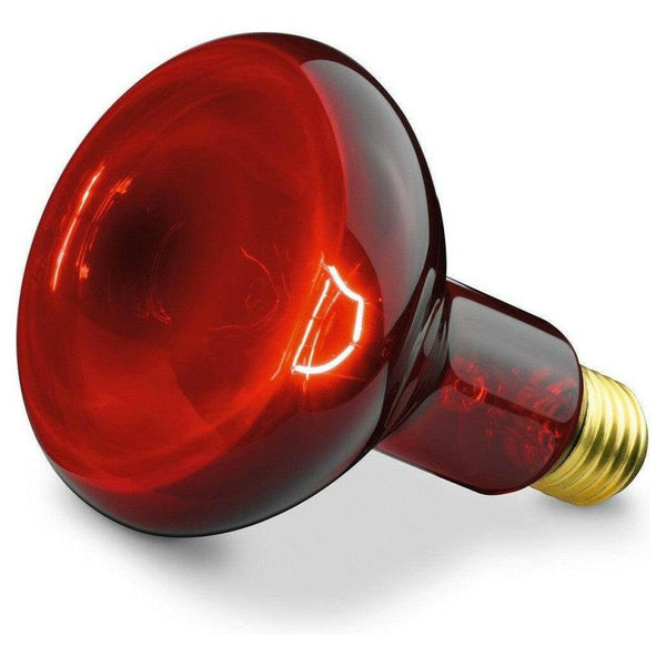 Sanitas SIL 06 infraroodlamp met beschermrooster - SAN61424-Shopvoorgezondheid