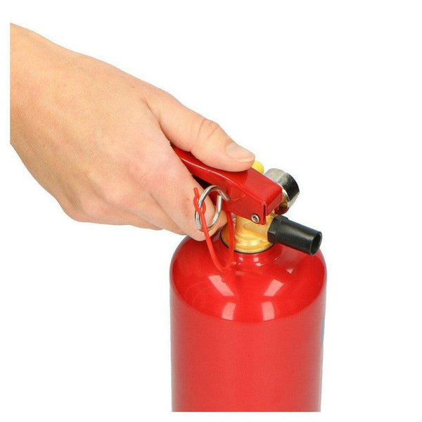 Alecto BP-1 brandblusser 1 kg - ALEBP1-Shopvoorgezondheid