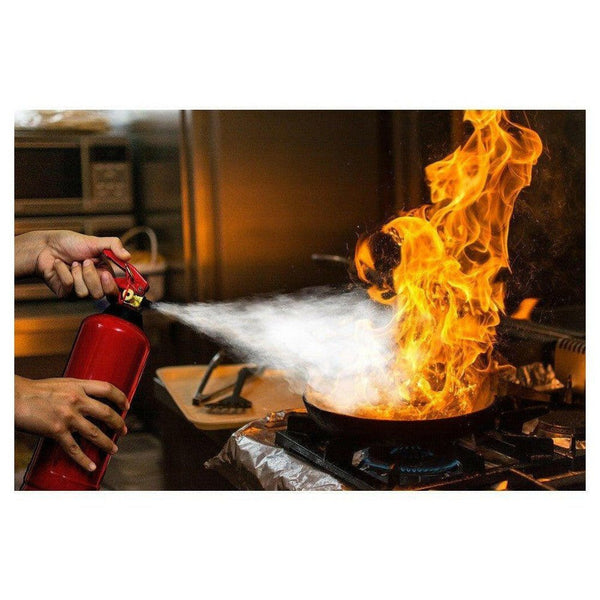 Alecto BP-1 brandblusser 1 kg - ALEBP1-Shopvoorgezondheid