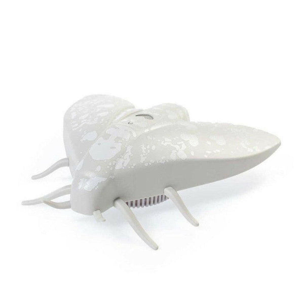 Jalo Lento 10 rookmelder (zilvergrijs) - JAL7914-Shopvoorgezondheid