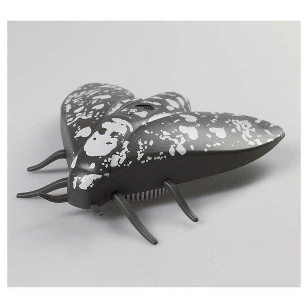 Jalo Lento 10 rookmelder (zwart) - JAL7938-Shopvoorgezondheid