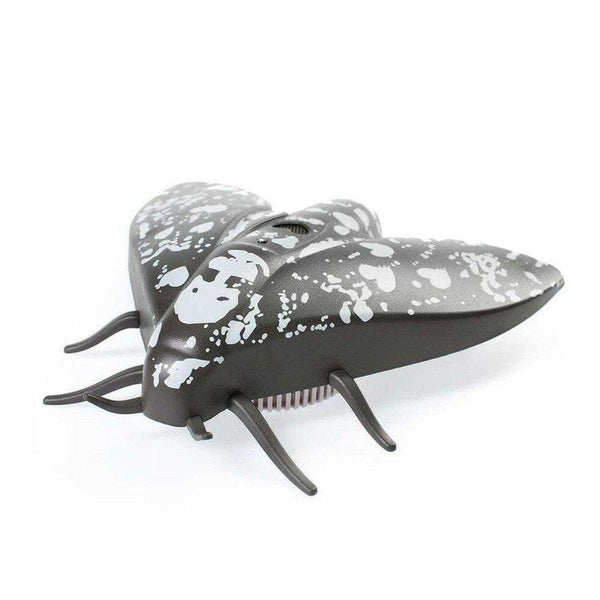 Jalo Lento 10 rookmelder (zwart) - JAL7938-Shopvoorgezondheid