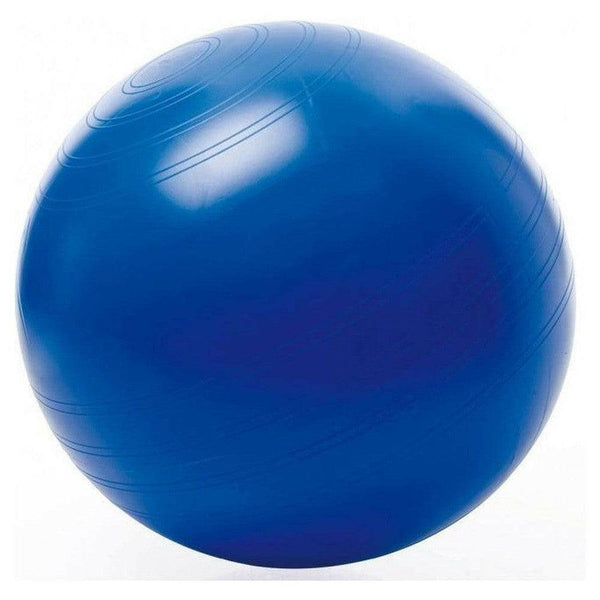 Togu zitbal ABS - BBW00352-Shopvoorgezondheid