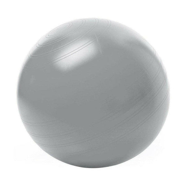 Togu zitbal ABS - BBW02382-Shopvoorgezondheid