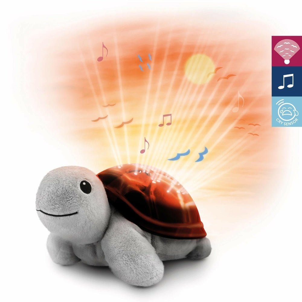 Close-up grijze pluche schildpad projector met zonsondergang licht