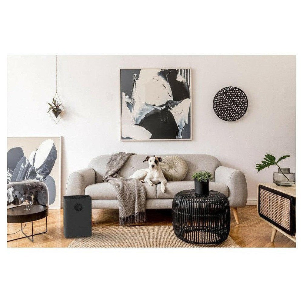 Boneco W200 luchtwasser zwart naast bank in modern wooninterieur
