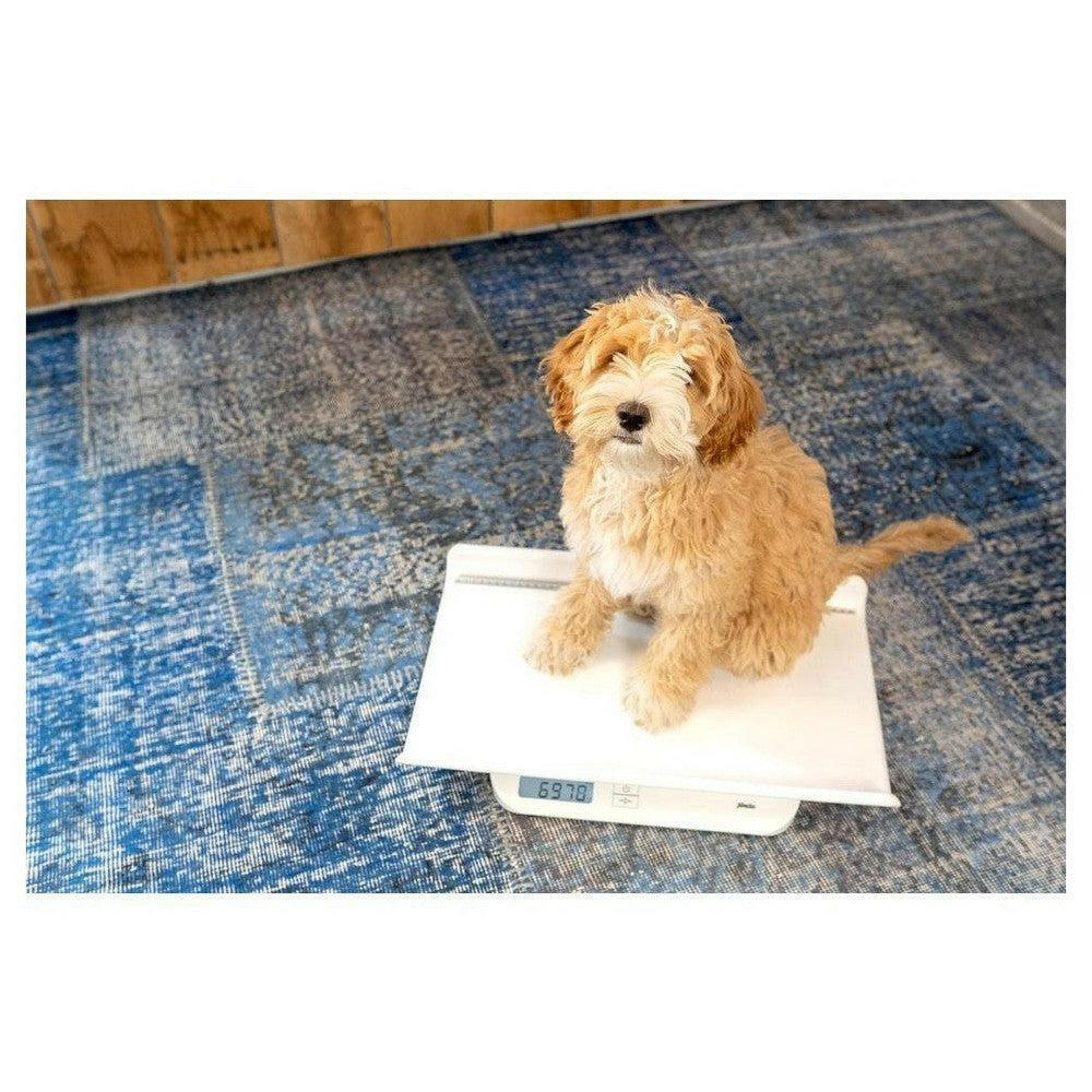 Puppy weegt op witte Alecto weegschaal met afneembaar plateau