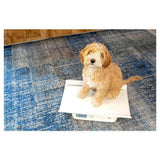 Puppy weegt op witte Alecto weegschaal met afneembaar plateau