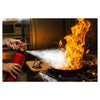 Alecto BP-1 brandblusser 1 kg - ALEBP1-Shopvoorgezondheid