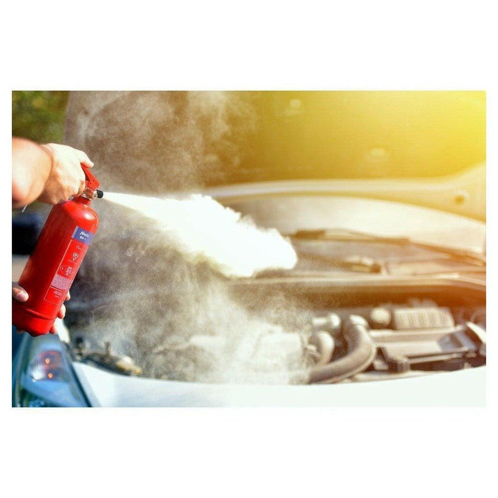 Alecto BP-1 poederblusser 1 kg in actie voor auto motorruimte
