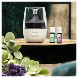 Clean Air Optima AD-302 aroma diffuser naast flesjes eucalyptus en lavendel etherische olie