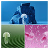 Cool-earplugs oordopjes 20 dB roze - EAR65001RZ-Shopvoorgezondheid