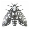 Jalo Lento 10 rookmelder (zwart) - JAL7938-Shopvoorgezondheid