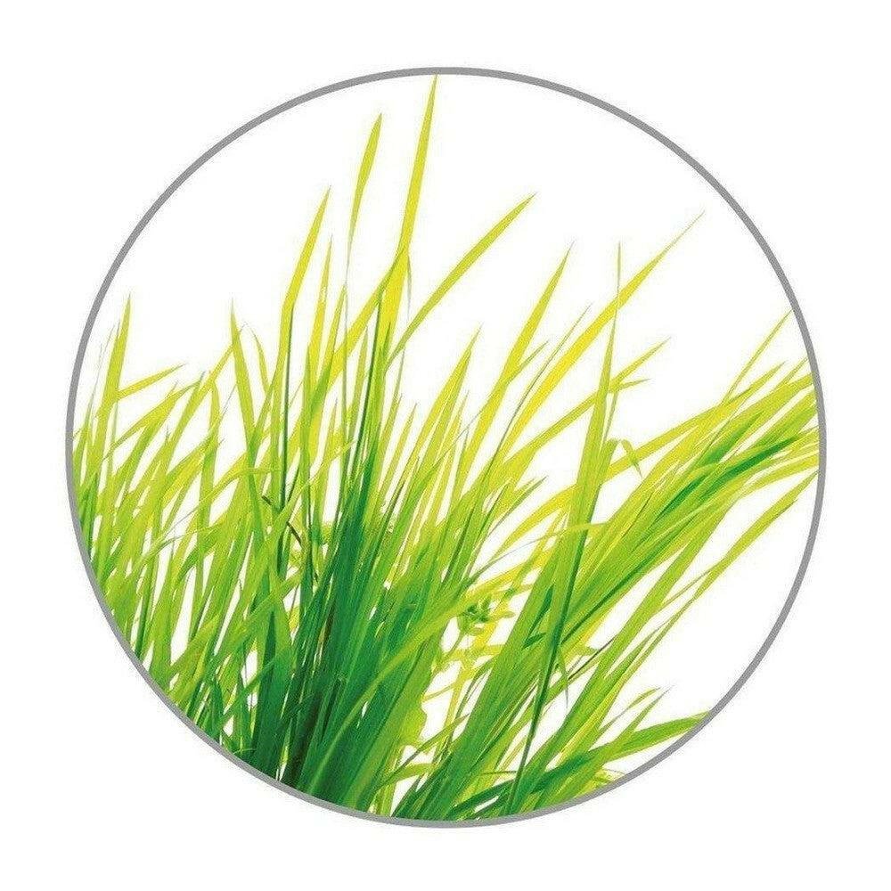 Citronella gras detail op etiket Medisana geurolie