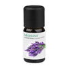 Medisana geurolie Lavendel (10 ml) - MED60032-Shopvoorgezondheid