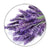 Medisana geurolie Lavendel (10 ml) - MED60032-Shopvoorgezondheid