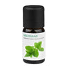 Medisana geurolie Munt (10 ml) - MED60036-Shopvoorgezondheid