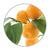 Medisana geurolie Sinaasappel (10 ml) - MED60037-Shopvoorgezondheid