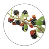 Medisana geurolie Wilde bessen (10 ml) - MED60039-Shopvoorgezondheid