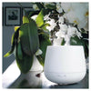 Stadler Form Julia aroma diffuser (wit) - STA007022-Shopvoorgezondheid