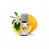 Venta Bio-Geurset Nr. 1 (3 x 10 ml) - VEN60443-Shopvoorgezondheid