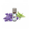 Venta Bio-Geurset Nr. 2 (3 x 10 ml) - VEN60442-Shopvoorgezondheid