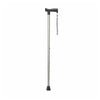 Vitility wandelstok antraciet - VIT91648-Shopvoorgezondheid